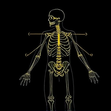 The Integumentary System-Taedin Isaac-AI-singing