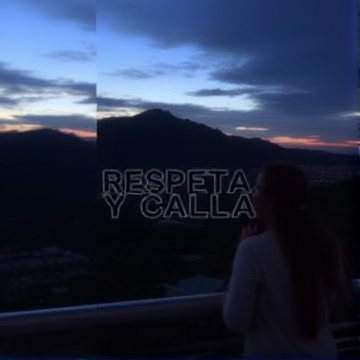 Respeta y calla-Tim-AI-singing