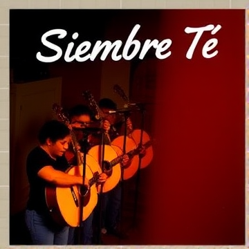 Siempre Tú-Pablo-AI-singing