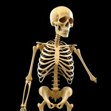 Skeleton of the Week-jack5roberts4-AI-singing