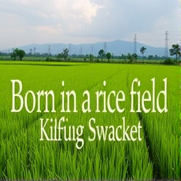 Born in a Rice Field-S-AI-singing